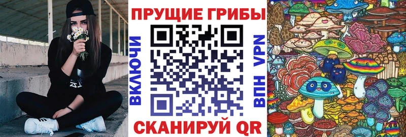 Галлюциногенные грибы GOLDEN TEACHER Железногорск